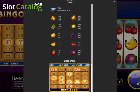 Οθόνη7. Bingo Fun Κουλοχέρης