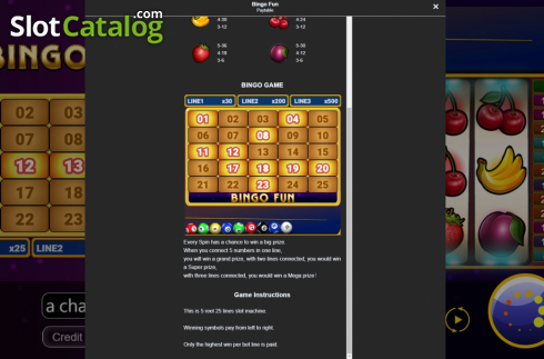 Οθόνη8. Bingo Fun Κουλοχέρης