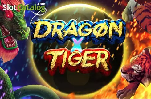Dragon X Tiger