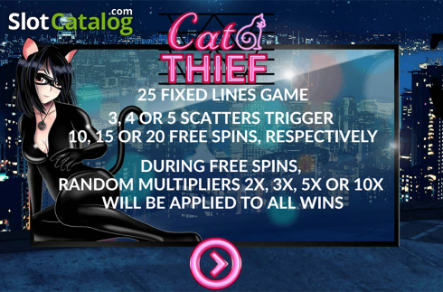 Οθόνη2. Cat Thief Κουλοχέρης