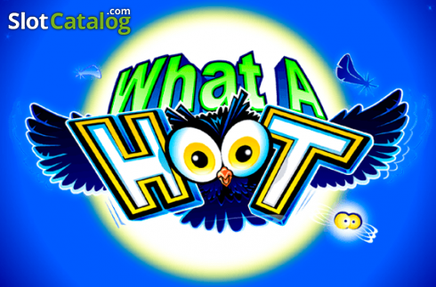 What a Hoot Κουλοχέρης 