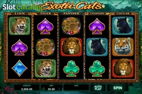 Οθόνη2. Exotic Cats Κουλοχέρης 