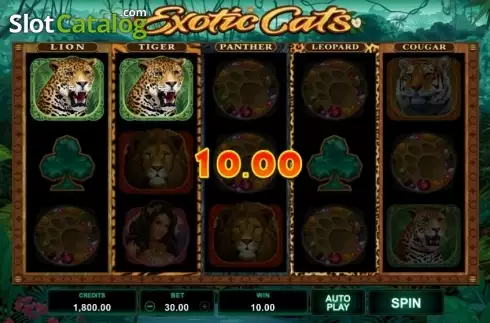 Οθόνη3. Exotic Cats Κουλοχέρης 
