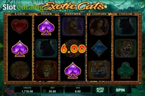 Οθόνη4. Exotic Cats Κουλοχέρης 