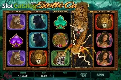 Οθόνη5. Exotic Cats Κουλοχέρης 