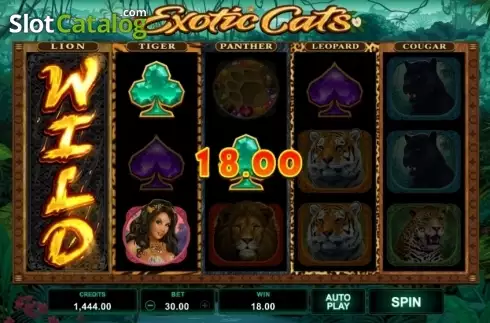 Οθόνη6. Exotic Cats Κουλοχέρης 