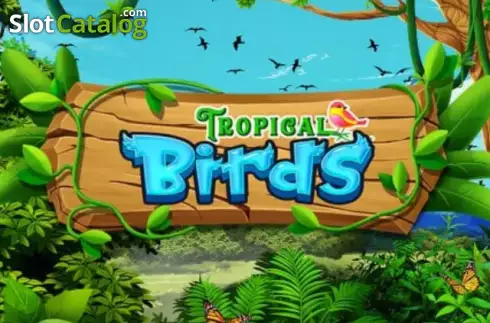 Tropical Birds