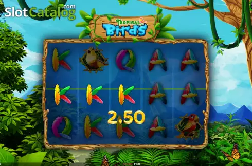 Οθόνη3. Tropical Birds Κουλοχέρης