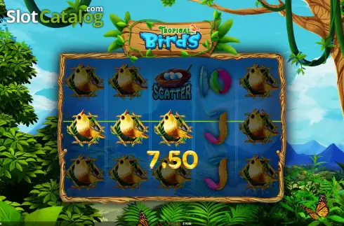 Οθόνη4. Tropical Birds Κουλοχέρης