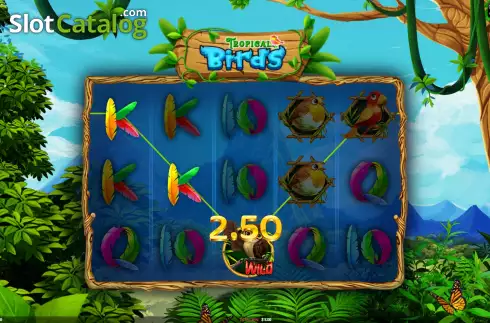 Οθόνη5. Tropical Birds Κουλοχέρης