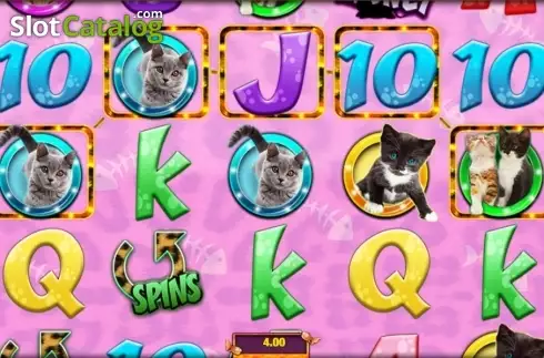 Οθόνη 2. Meow Money Κουλοχέρης 