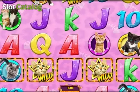Οθόνη 5. Meow Money Κουλοχέρης 