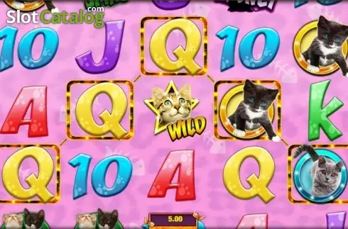 Οθόνη 7. Meow Money Κουλοχέρης 
