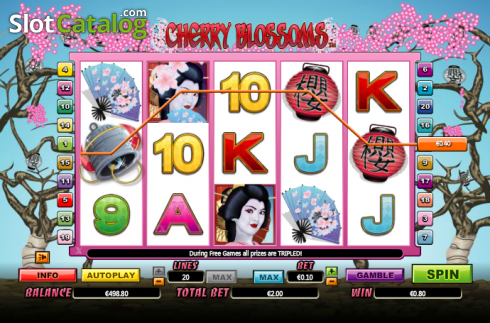 Αγριος. Cherry Blossoms Κουλοχέρης 