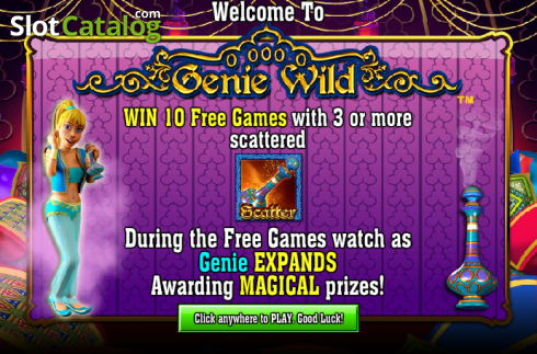 Τα χαρακτηριστικά του παιχνιδιού. Genie Wild Κουλοχέρης