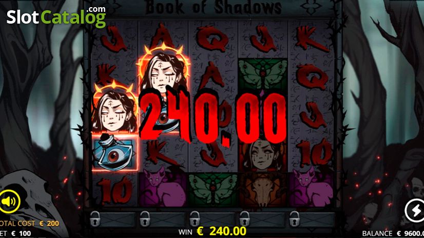 Βιβλίο σκιών Book of Shadows