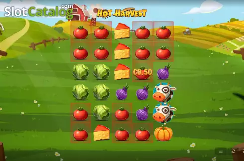 Οθόνη3. Hot Harvest Κουλοχέρης