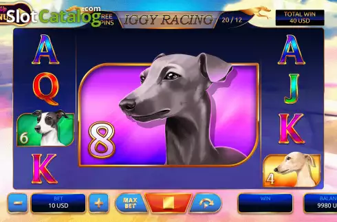 Οθόνη5. Iggy Racing Κουλοχέρης
