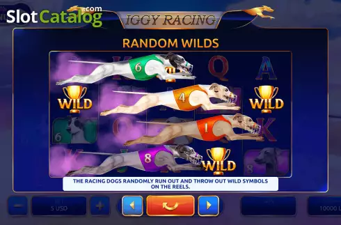 Οθόνη6. Iggy Racing Κουλοχέρης