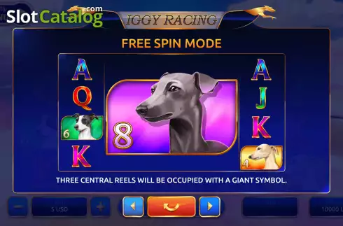 Οθόνη9. Iggy Racing Κουλοχέρης