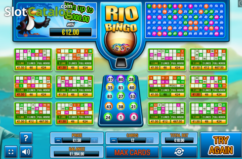 Οθόνη4. Rio Bingo Κουλοχέρης 