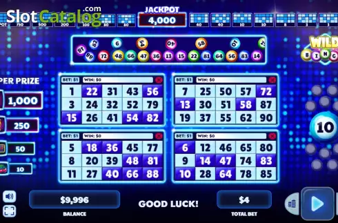 Οθόνη2. Wild Bingo Κουλοχέρης