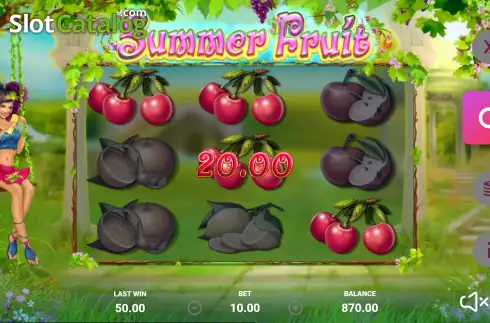 Οθόνη6. Summer Fruit Κουλοχέρης
