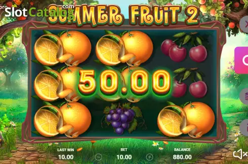 Οθόνη3. Summer Fruit 2 Κουλοχέρης 
