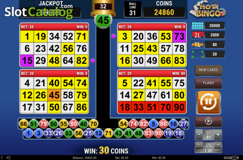 Οθόνη8. Hot Bingo (RCT Gaming) Κουλοχέρης