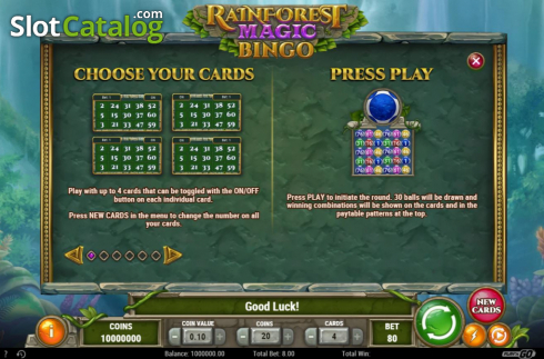 Οθόνη6. Rainforest Magic Bingo Κουλοχέρης