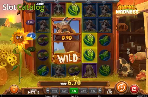 Οθόνη8. Animal Madness Κουλοχέρης 