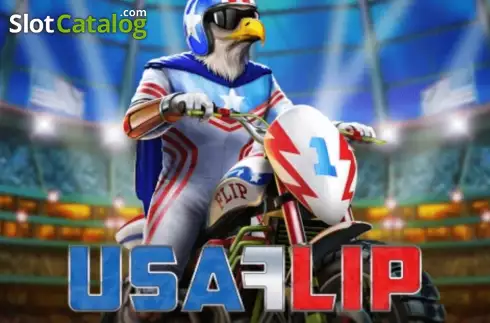USA Flip Λογότυπο USA Flip Λογότυπο