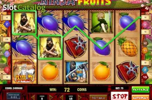 Αγριος. Ninja Fruits Κουλοχέρης