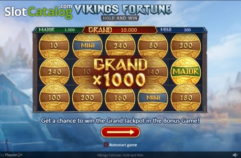 Οθόνη2. Vikings Fortune: Hold and Win Κουλοχέρης