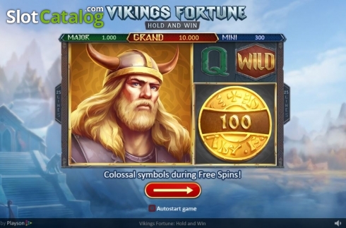 Οθόνη3. Vikings Fortune: Hold and Win Κουλοχέρης