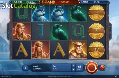 Οθόνη4. Vikings Fortune: Hold and Win Κουλοχέρης