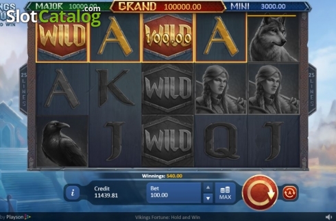 Οθόνη5. Vikings Fortune: Hold and Win Κουλοχέρης