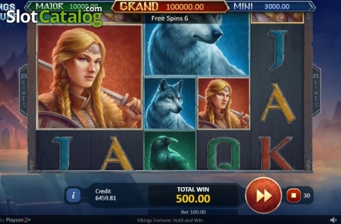 Οθόνη7. Vikings Fortune: Hold and Win Κουλοχέρης