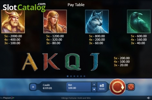 Οθόνη9. Vikings Fortune: Hold and Win Κουλοχέρης