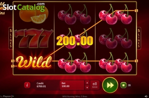 Οθόνη5. Wild Burning Wins: 5 lines Κουλοχέρης