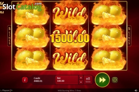 Οθόνη7. Wild Burning Wins: 5 lines Κουλοχέρης