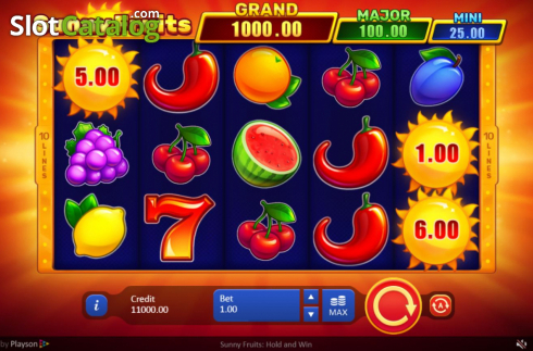 Οθόνη2. Sunny Fruits: Hold and Win Κουλοχέρης