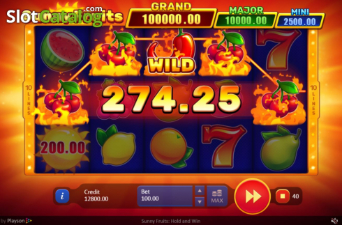 Οθόνη3. Sunny Fruits: Hold and Win Κουλοχέρης