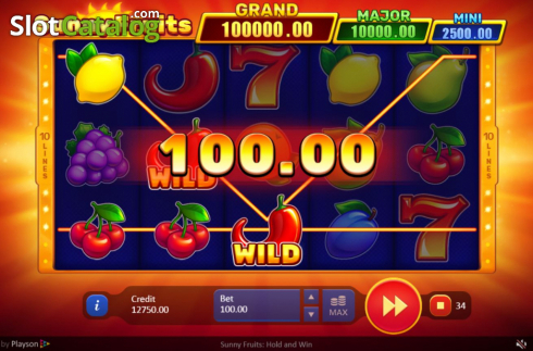 Οθόνη4. Sunny Fruits: Hold and Win Κουλοχέρης