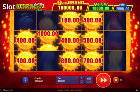 Οθόνη6. Sunny Fruits: Hold and Win Κουλοχέρης