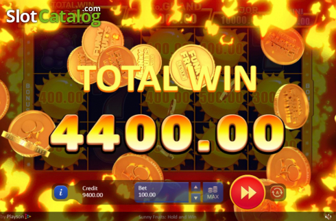 Οθόνη7. Sunny Fruits: Hold and Win Κουλοχέρης