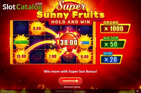 Οθόνη2. Super Sunny Fruits: Hold and Win Κουλοχέρης