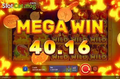 Οθόνη7. Super Sunny Fruits: Hold and Win Κουλοχέρης