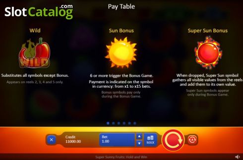 Οθόνη9. Super Sunny Fruits: Hold and Win Κουλοχέρης