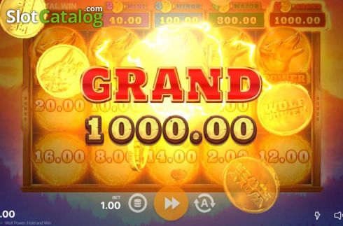 Οθόνη6. Wolf Power: Hold and Win Κουλοχέρης